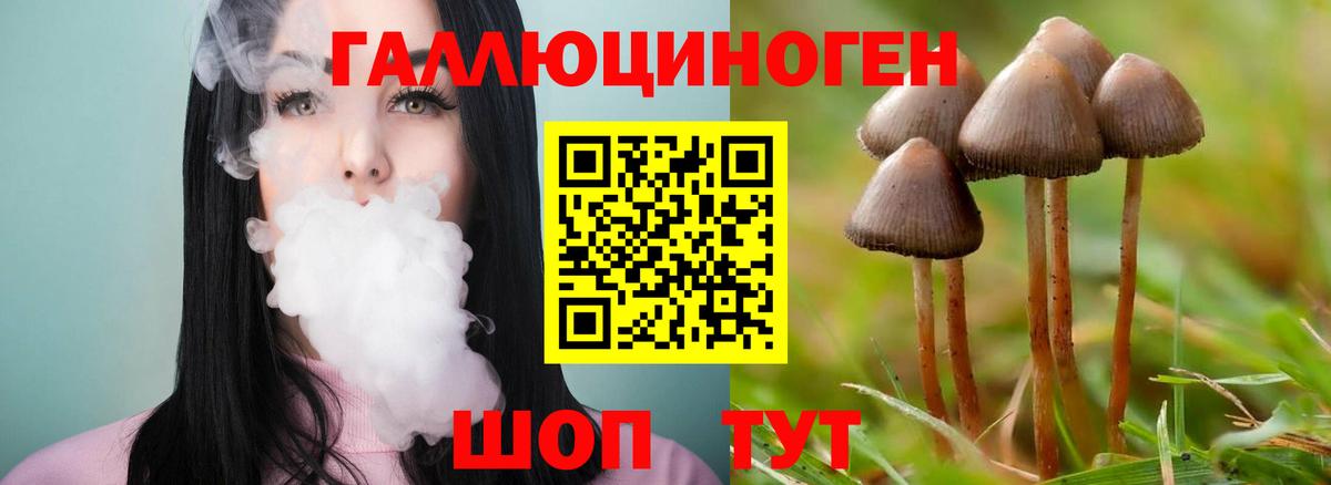 Галлюциногенные грибы прущие грибы  Псилоцибиновые грибы Cubensis  Азов  Вход с VPN 