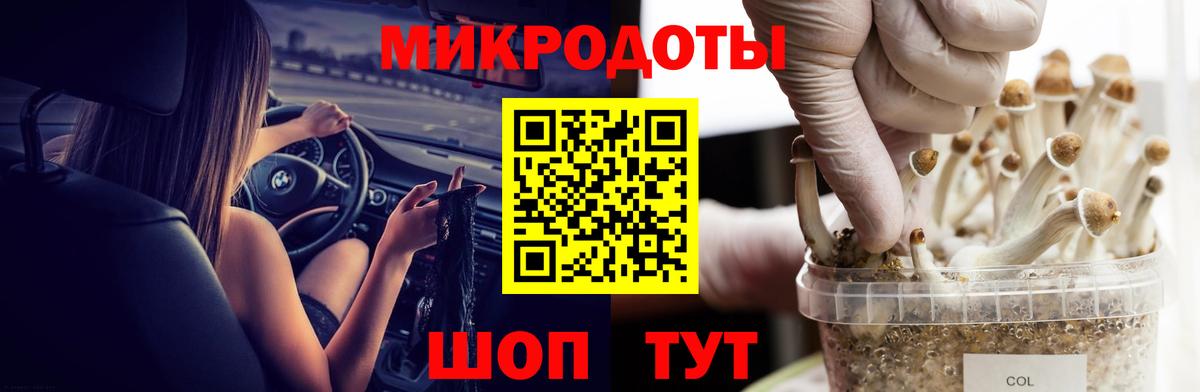 Псилоцибиновые грибы прущие грибы Азов